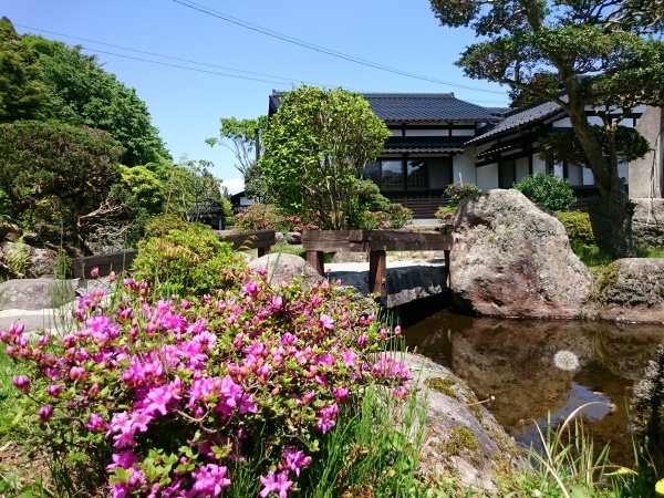 ひとあし御先に ミヤマキリシマ 旅荘ゆつぼ亭ブログ