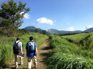 8月のオルレイベント ご案内